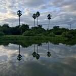 Photo taken by Kim C