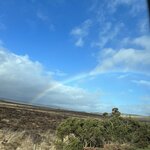 Photo taken by Marcy B