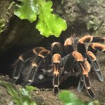 Photo taken by Aparna N