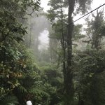 Photo taken by Khaled S