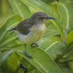 Photo taken by Graham D