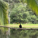 Photo taken by Cara A