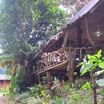 Photo taken by sarah p