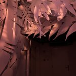 Photo taken by Jennifer D