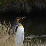 Photo taken by Martine B