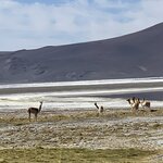 Photo taken by Lisa K