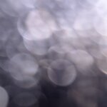 Photo taken by Nancy B