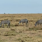 Photo taken by Julien C