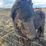 Photo taken by Jessica A