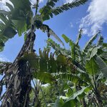 Photo taken by Alexia M