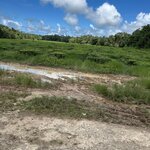 Photo taken by Cindy H