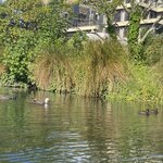 Photo taken by Gabrielle H