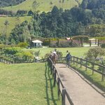 Photo taken by Melissa C