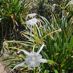 Photo taken by Dan J