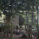 Photo taken by Peter B