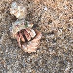 Photo taken by Andrew H