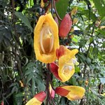 Photo taken by Randy H