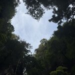 Photo taken by Amie B