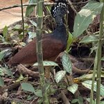 Photo taken by Ora Y