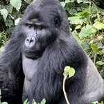 Photo taken by Michael L