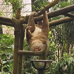 Photo taken by Mark S