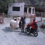 Photo taken by Stephen s