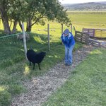 Photo taken by Anita H