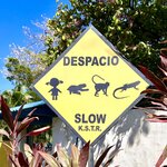 Photo taken by KLAUS A