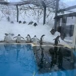 Photo taken by Reid S