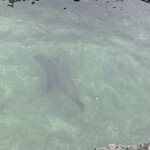 Photo taken by Lisa P