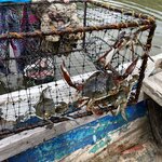 Photo taken by Diana L