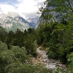 Photo taken by Kim R