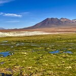 Photo taken by Lisa K