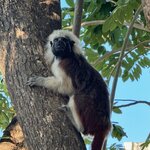 Photo taken by Amanda P