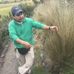 Our knowledgeable guide Annibal | Photo taken by Sheila R