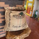 Photo taken by Bincy P