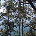 Photo taken by Brunna A