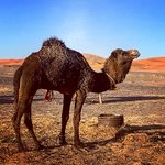 Photo taken by Rachel R