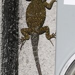 Photo taken by Joyce C