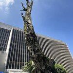 Photo taken by Ross V