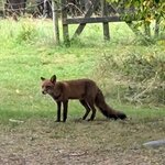 Photo taken by Mitzi F