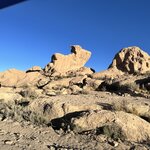 Photo taken by Mai S