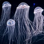 Photo taken by Silvain B