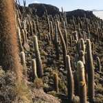 Photo taken by alton r