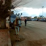 Photo taken by Maria R