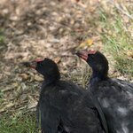 Photo taken by Greg L