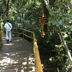 Photo taken by Deborah M