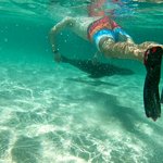 Our new friends like to swim with us and we like to swim with them! | Photo taken by Peter S