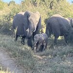 Photo taken by rhonda c