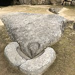 Condor | Photo taken by Kristin T